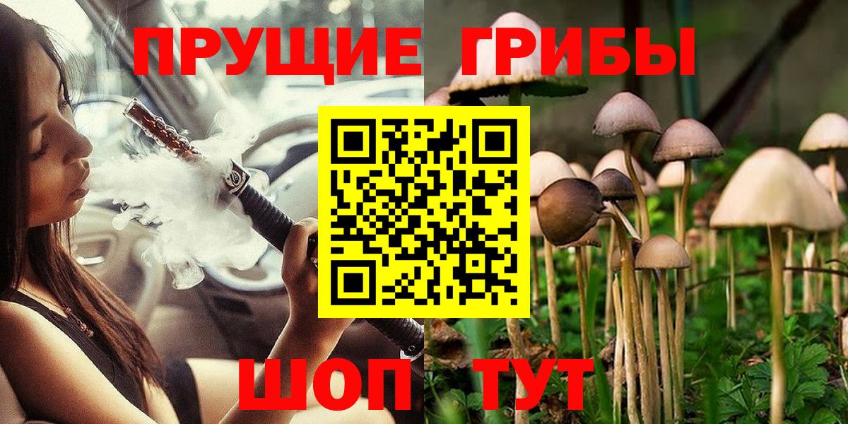 Галлюциногенные грибы MAGIC MUSHROOMS  Шарыпово  Галлюциногенные грибы Psilocybine cubensis 